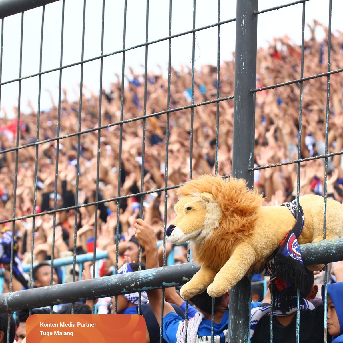 Detail Boneka Singa Arema Nomer 58