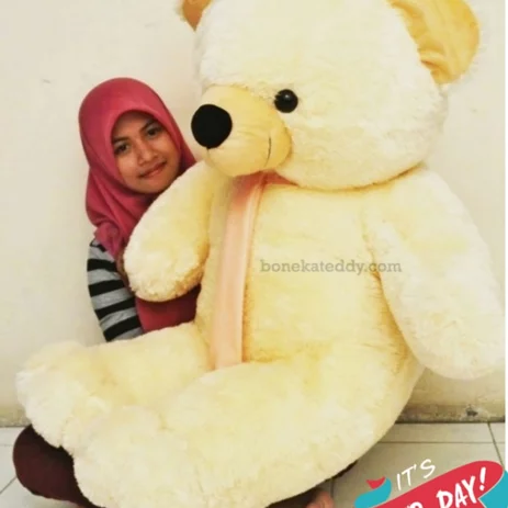 Detail Boneka Super Jumbo Nomer 50