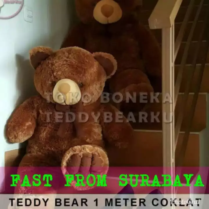 Detail Boneka Teddy Bear Besar Murah Nomer 22
