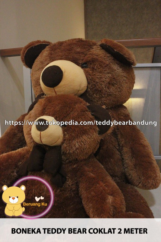 Detail Boneka Teddy Bear Coklat Nomer 28