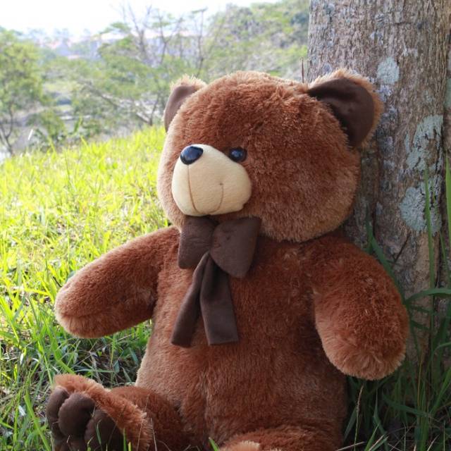 Detail Boneka Teddy Bear Coklat Nomer 5