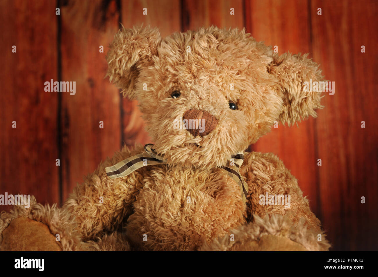 Detail Boneka Teddy Bear Galau Nomer 52