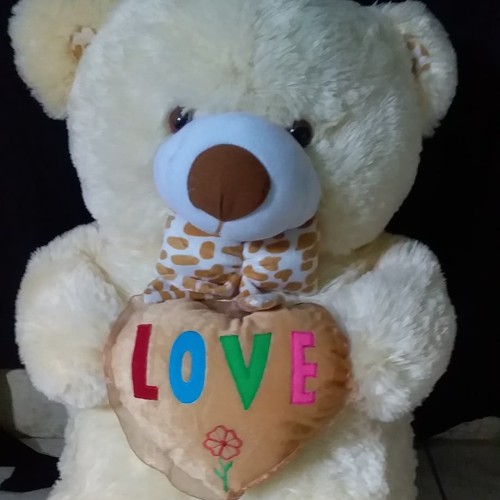 Detail Boneka Teddy Bear Love Besar Nomer 20