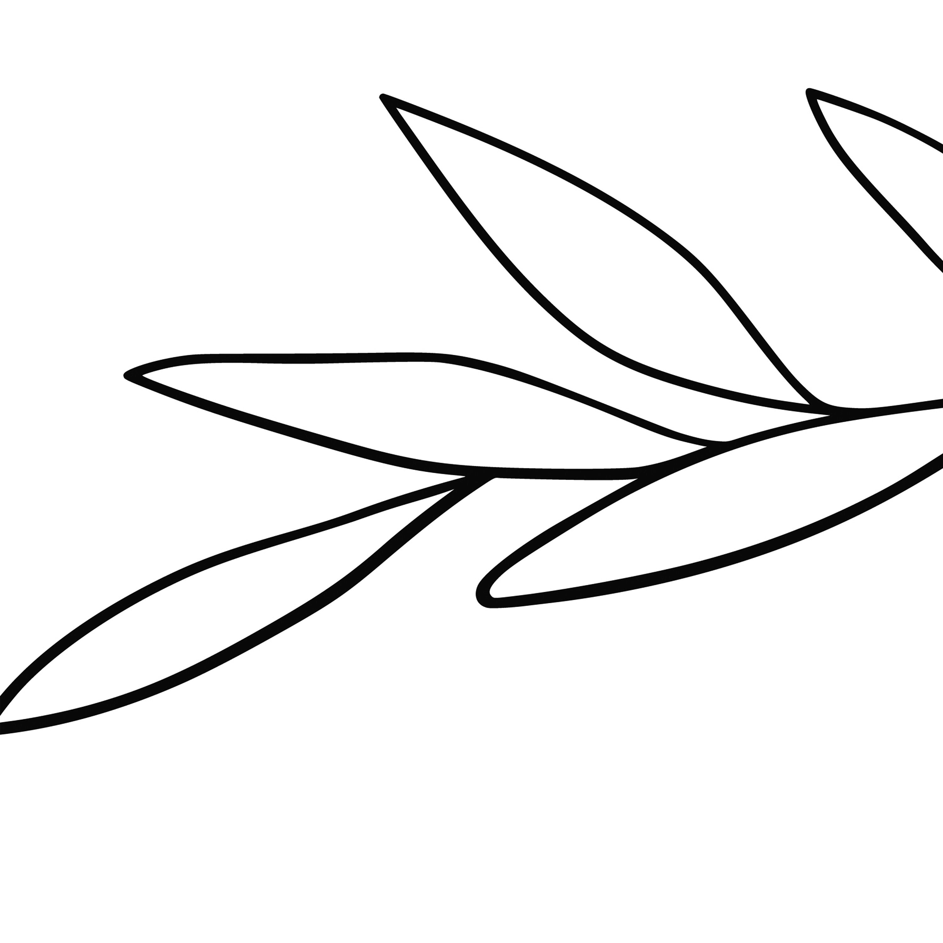 Detail Eukalyptus Kranz Clipart Nomer 12