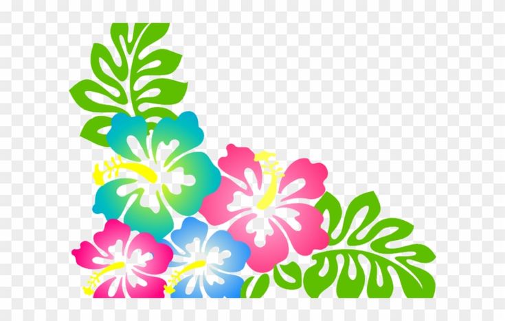 Hawaiian Flower Background - KibrisPDR