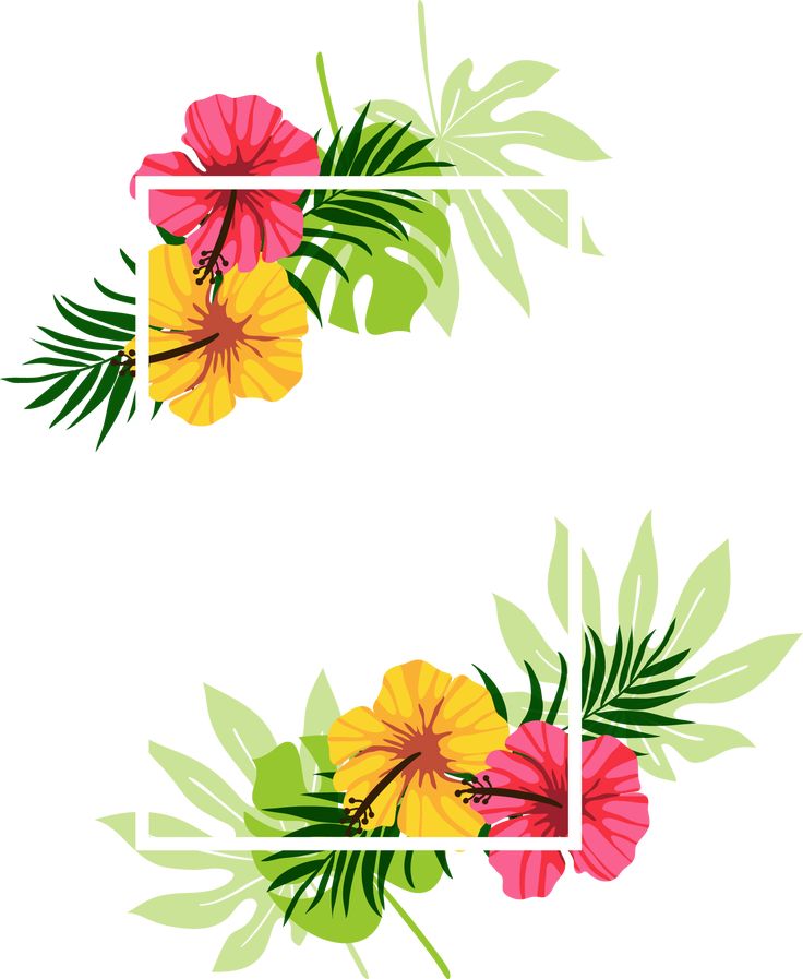 Detail Hawaiian Flower Background Nomer 14