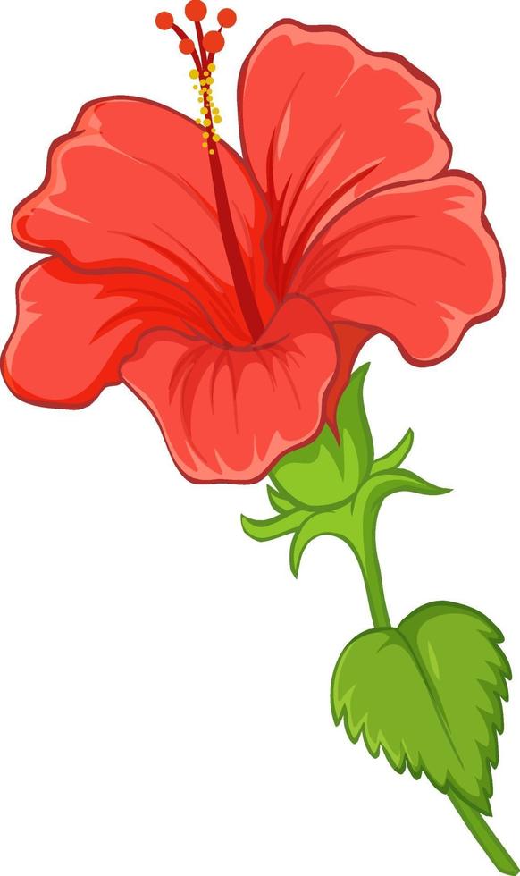 Detail Hawaiian Flower Background Nomer 17