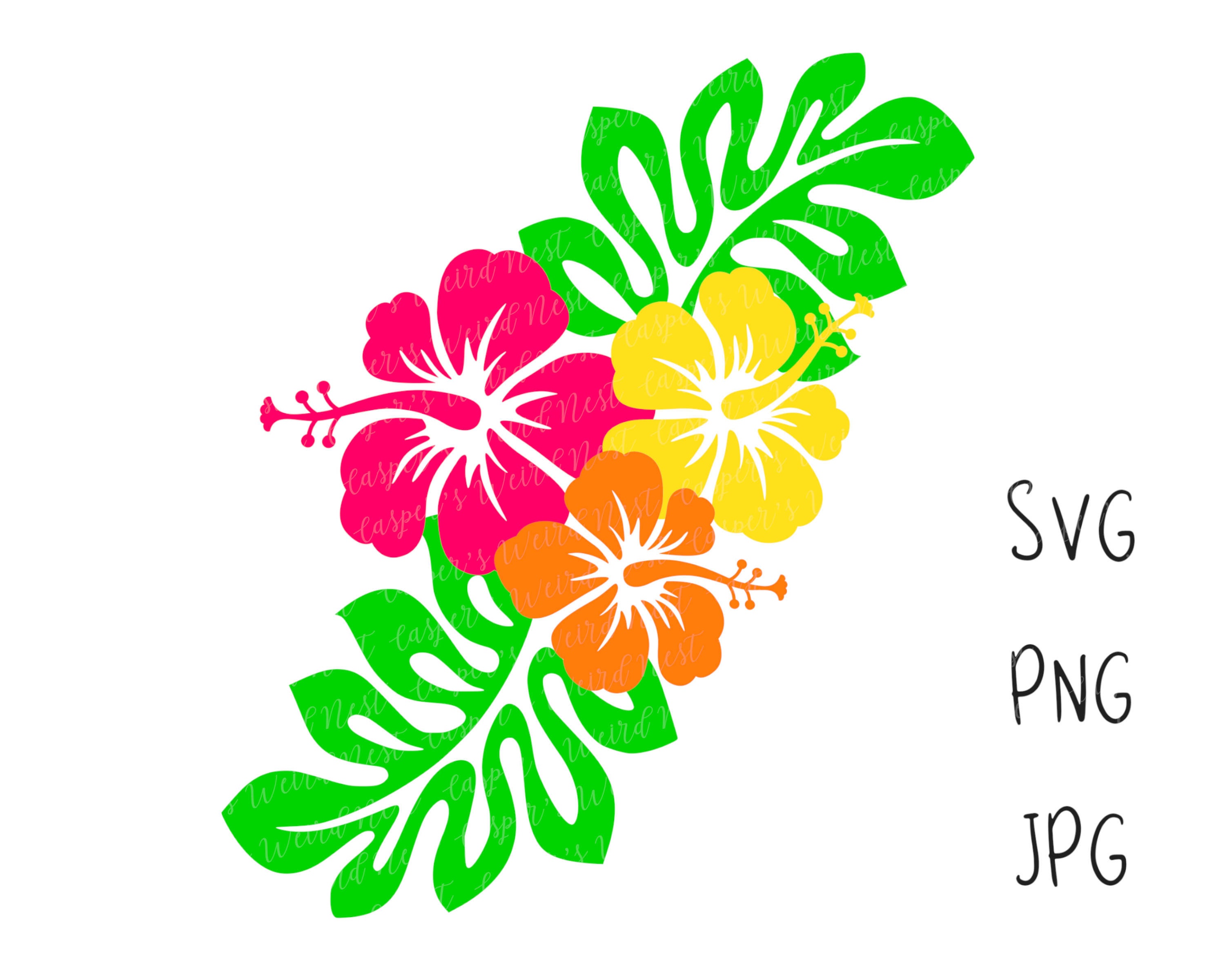 Detail Hawaiian Flower Background Nomer 24