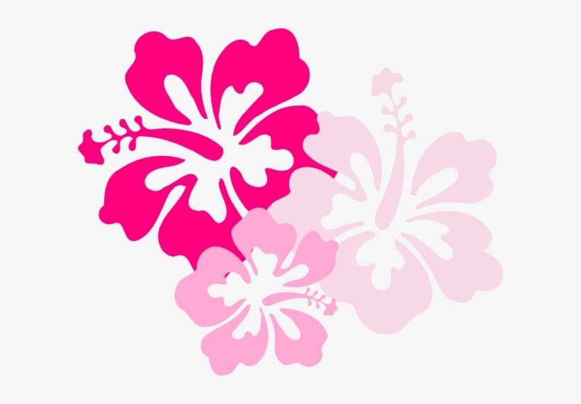 Detail Hawaiian Flower Background Nomer 4