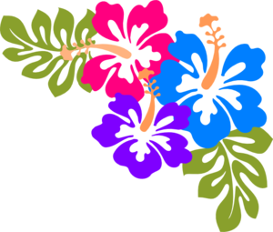 Detail Hawaiian Flower Background Nomer 5