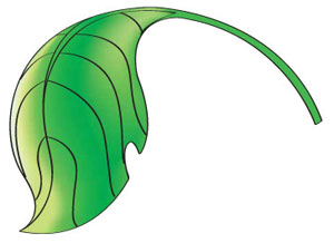 Detail Illustrator Zeichnen Tutorial Nomer 17