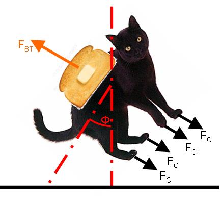 Katze Toast - KibrisPDR