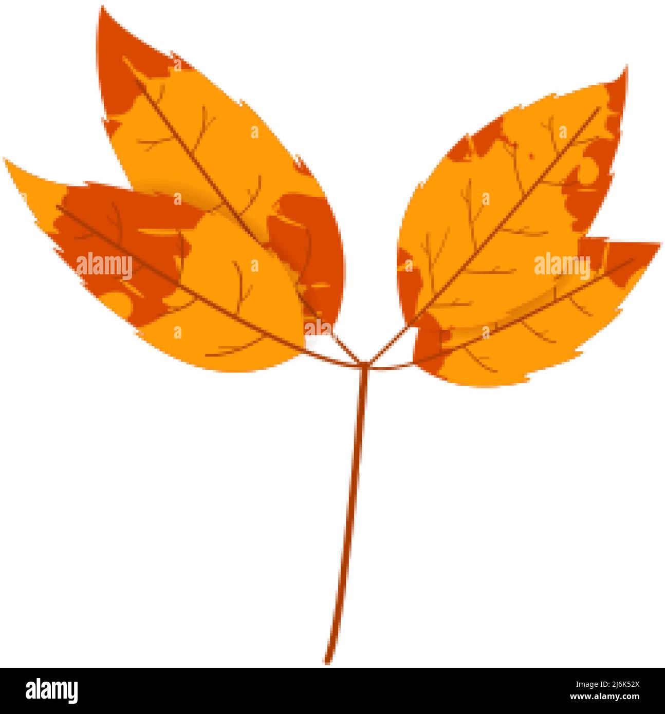 Detail Leaf Texture Vector Nomer 14