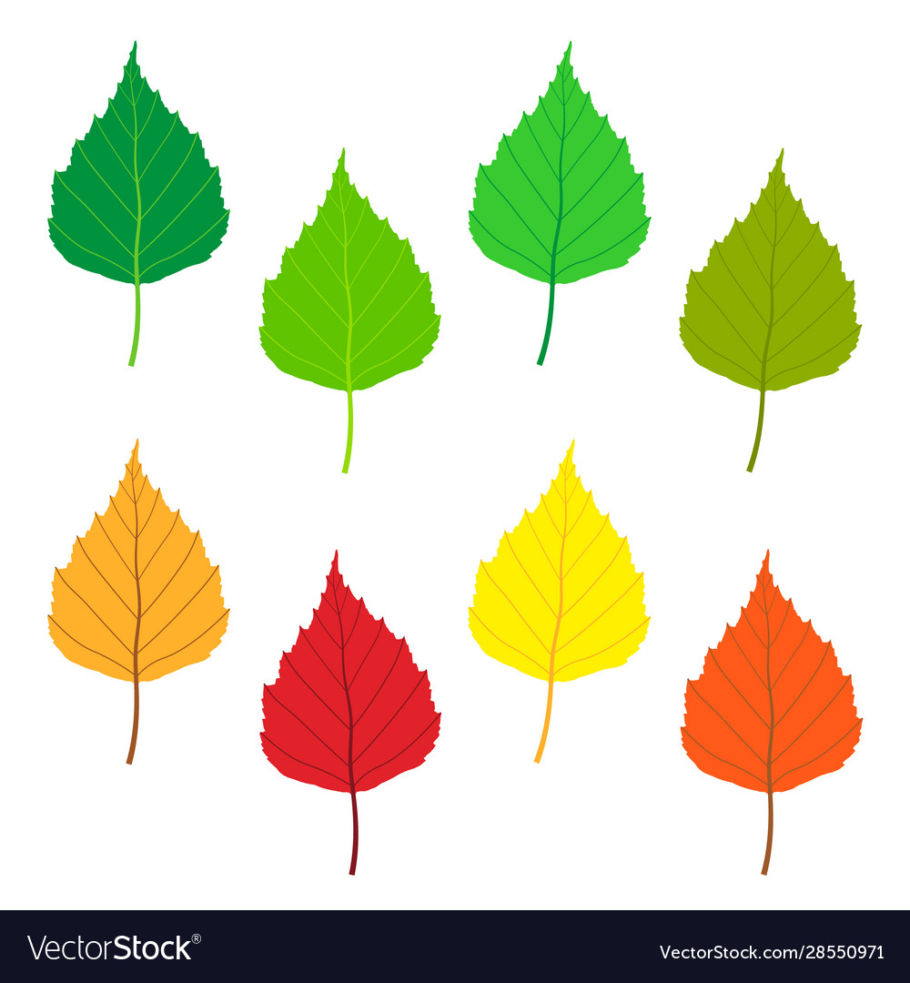 Detail Leaf Texture Vector Nomer 19