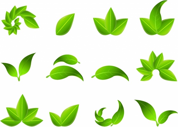 Detail Leaf Texture Vector Nomer 22