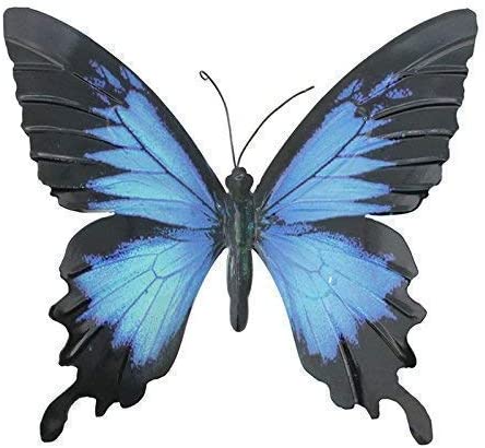 Schmetterling Blau Schwarz - KibrisPDR