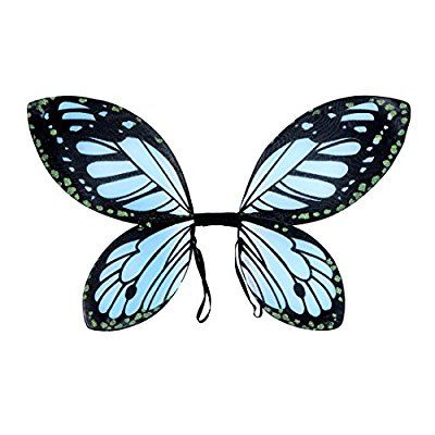 Detail Schmetterling Blau Schwarz Nomer 11