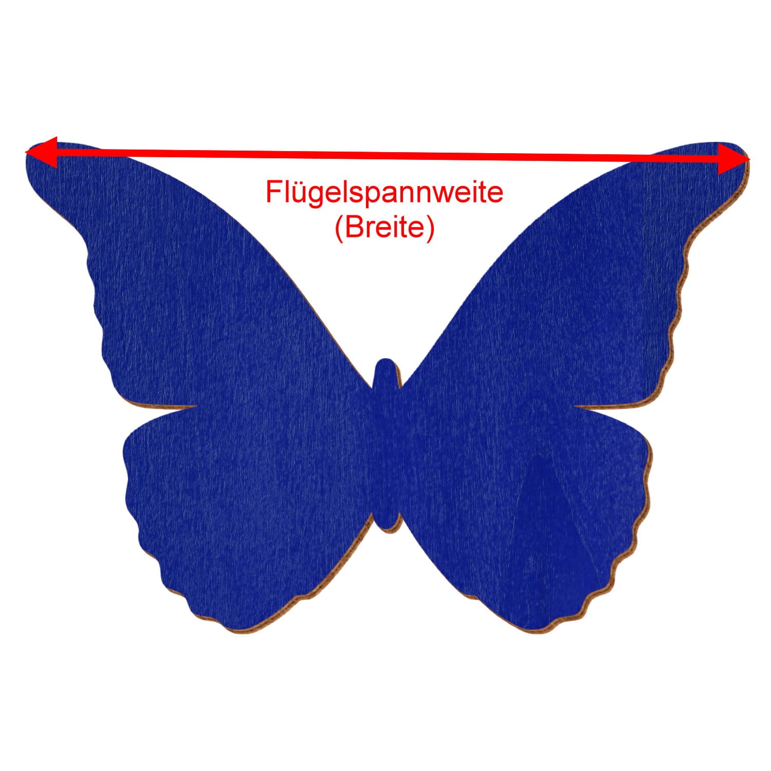 Detail Schmetterling Blau Schwarz Nomer 26