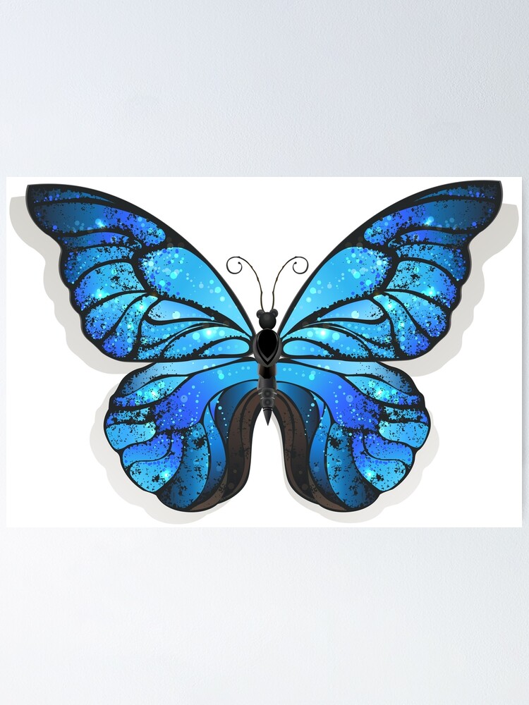 Detail Schmetterling Blau Schwarz Nomer 6