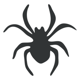 Detail Springende Spinne Nomer 9
