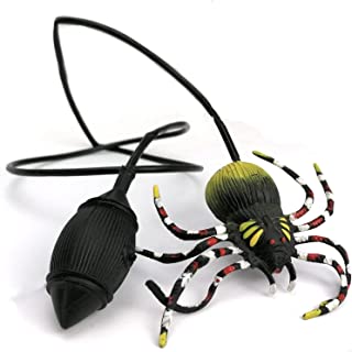 Detail Springende Spinne Nomer 2