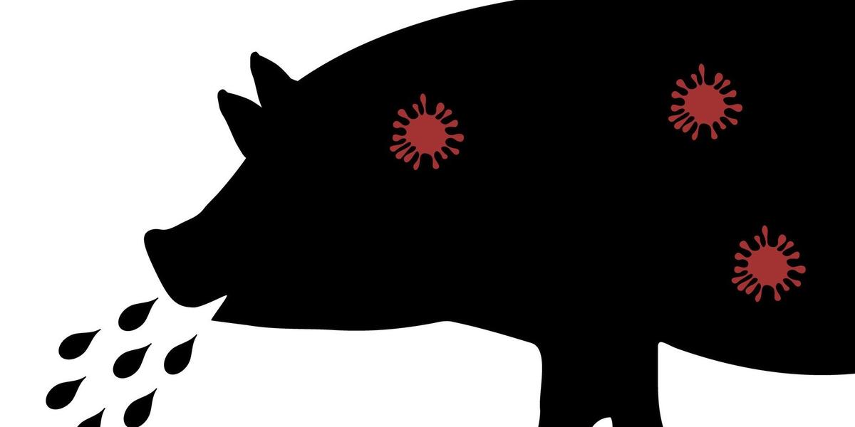 Detail Verschiedene Schweinefleischsorten Nomer 18