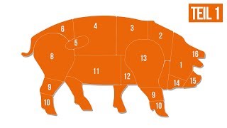 Detail Verschiedene Schweinefleischsorten Nomer 24