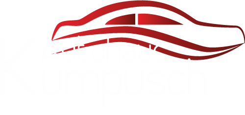 Detail Autohaus Logo Nomer 21