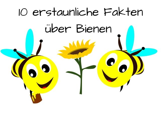 Detail Bienen Bilder Nomer 7