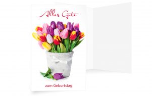 Detail Blumen Geburtstag Frau Nomer 26