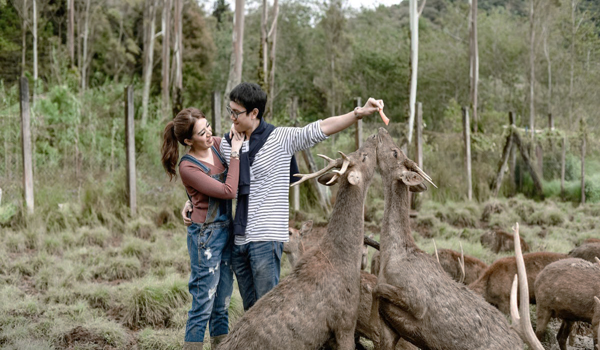 Detail Foto Prewedding Di Bandung Nomer 33