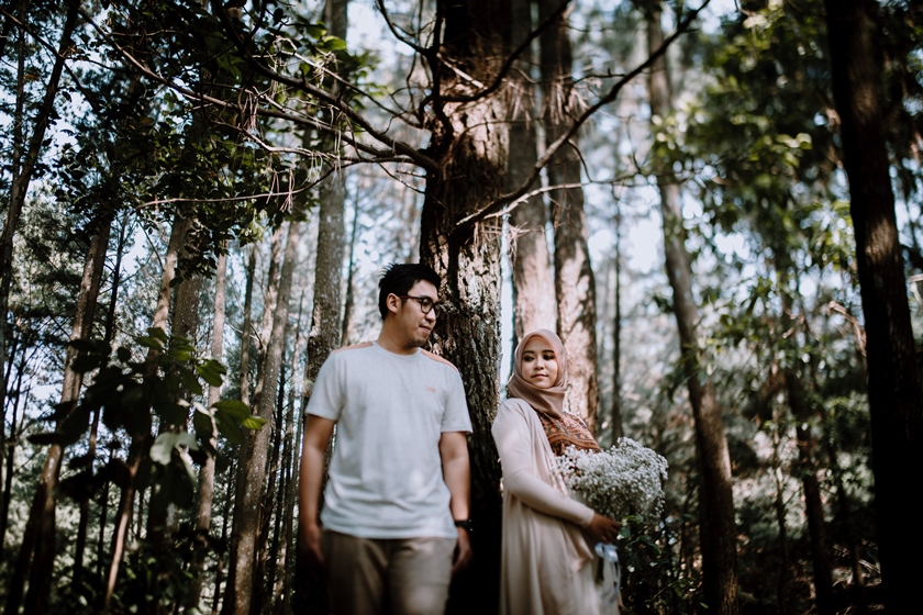 Detail Foto Prewedding Di Hutan Nomer 16