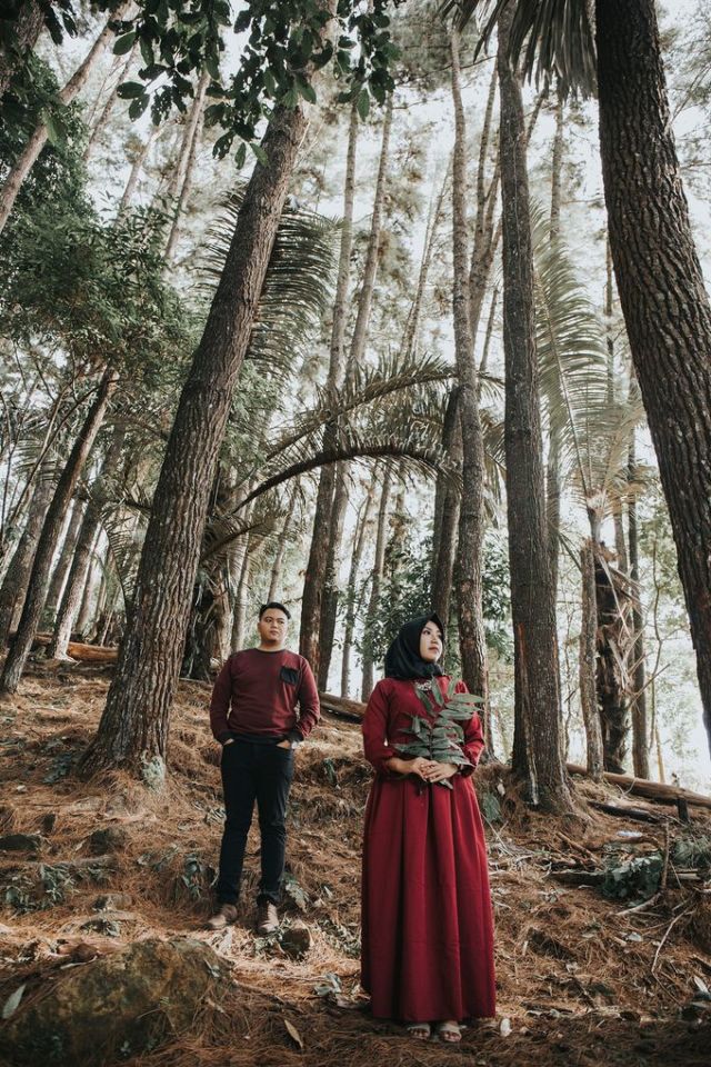 Detail Foto Prewedding Di Hutan Nomer 3