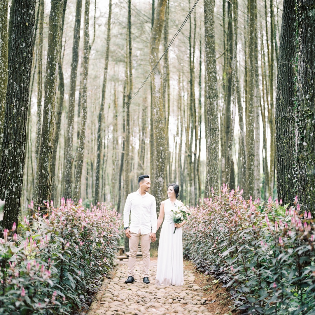 Detail Foto Prewedding Di Hutan Nomer 27