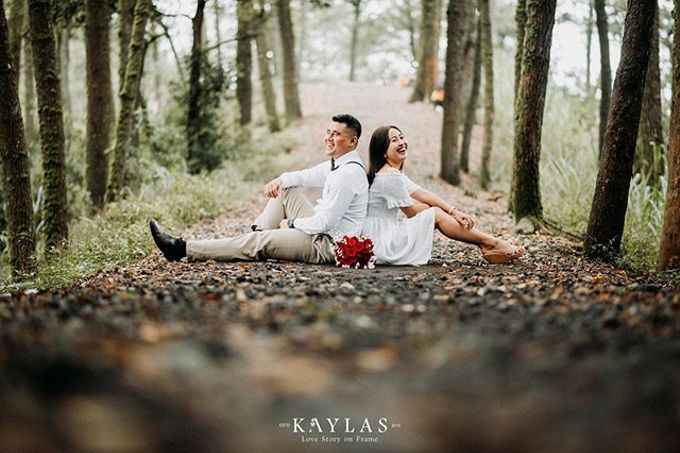 Detail Foto Prewedding Di Hutan Nomer 36