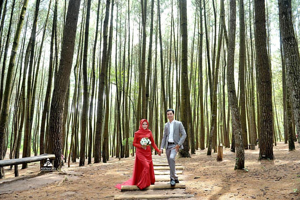 Detail Foto Prewedding Di Hutan Nomer 5