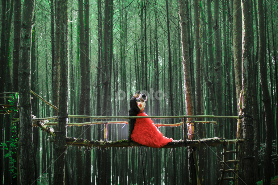 Detail Foto Prewedding Di Hutan Nomer 45