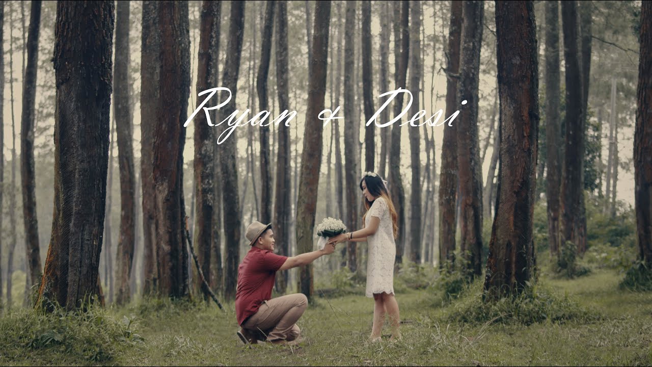 Detail Foto Prewedding Di Hutan Pinus Nomer 11