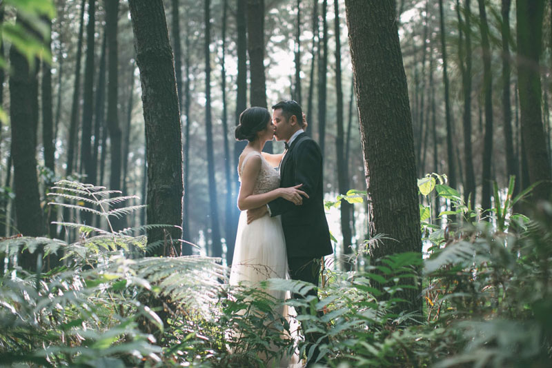 Detail Foto Prewedding Di Hutan Pinus Nomer 19