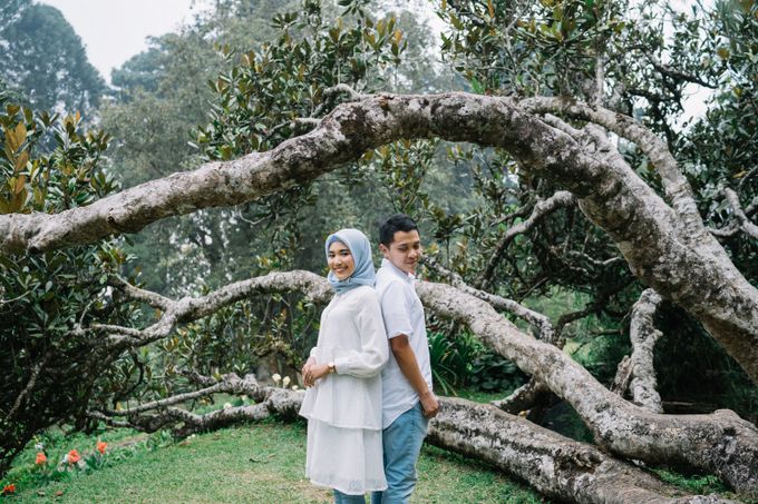 Detail Foto Prewedding Di Kebun Raya Bogor Nomer 11