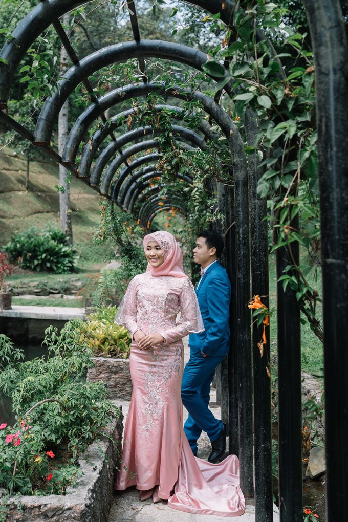 Detail Foto Prewedding Di Kebun Raya Bogor Nomer 13