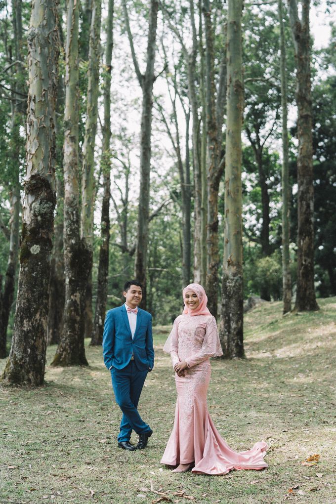 Detail Foto Prewedding Di Kebun Raya Bogor Nomer 17