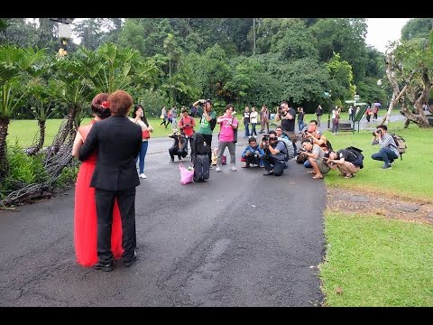 Detail Foto Prewedding Di Kebun Raya Bogor Nomer 18