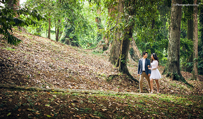 Detail Foto Prewedding Di Kebun Raya Bogor Nomer 20