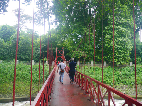 Detail Foto Prewedding Di Kebun Raya Bogor Nomer 31