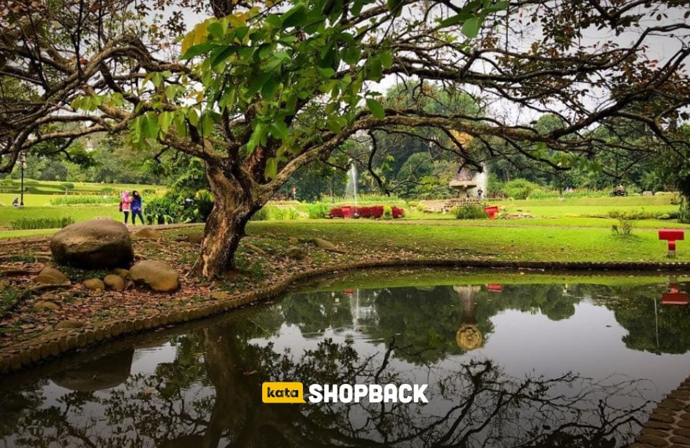 Detail Foto Prewedding Di Kebun Raya Bogor Nomer 33