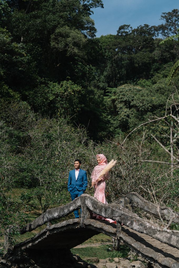 Detail Foto Prewedding Di Kebun Raya Bogor Nomer 34