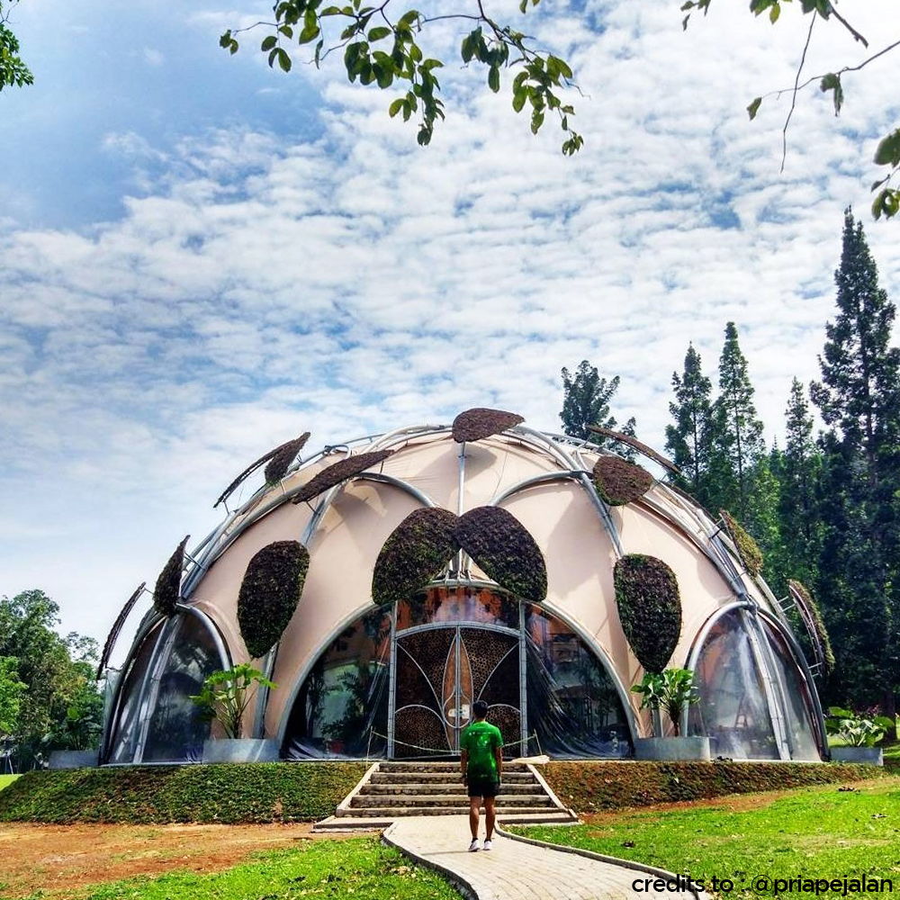 Detail Foto Prewedding Di Kebun Raya Bogor Nomer 39