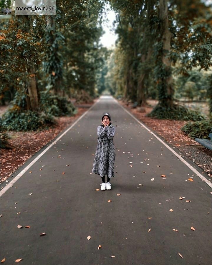 Detail Foto Prewedding Di Kebun Raya Bogor Nomer 44