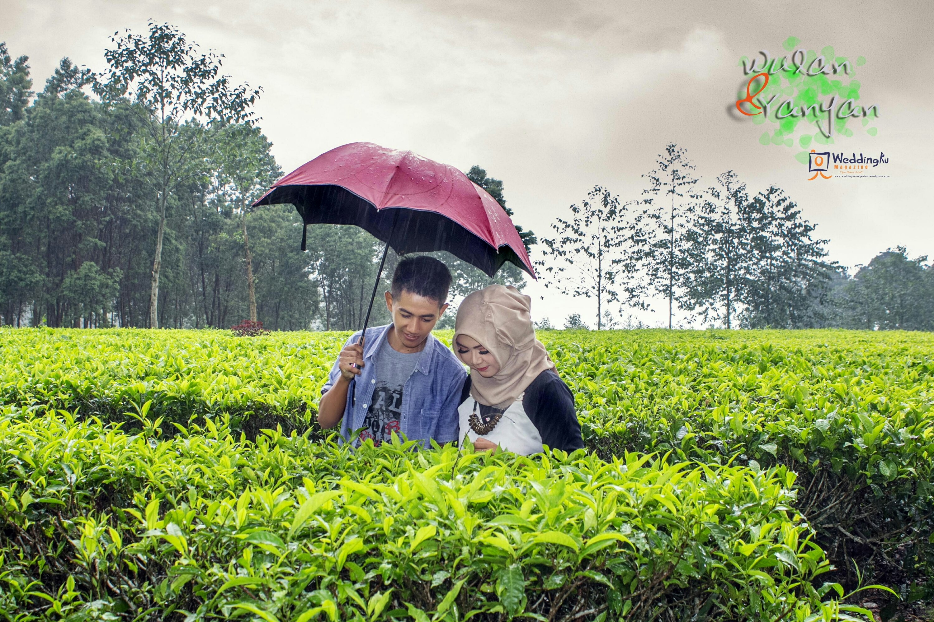 Detail Foto Prewedding Di Kebun Teh Nomer 22